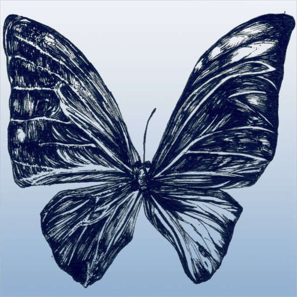 23+ Pen Drawings Free & Premium Drawings Download